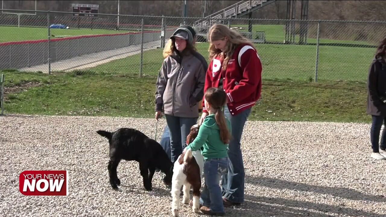 Perry Students experience Ag Day with horses, goats, and more